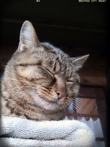 2014-03-19-18-54-00_deco.jpg