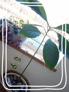 2013-10-10-12-50-20_deco.jpg