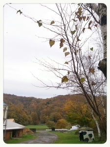 2013-10-26-11-19-26_deco.jpg