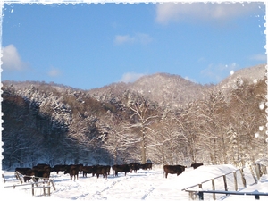 2014-03-10-14-51-38_deco.jpg