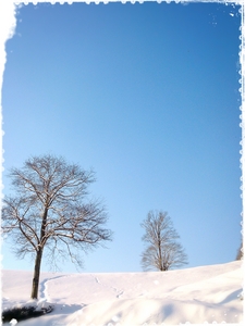 2014-03-10-14-52-36_deco.jpg