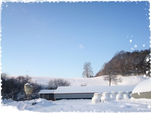 2014-03-10-14-53-59_deco.jpg