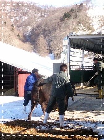 2015-02-17-18-49-21_deco.jpg