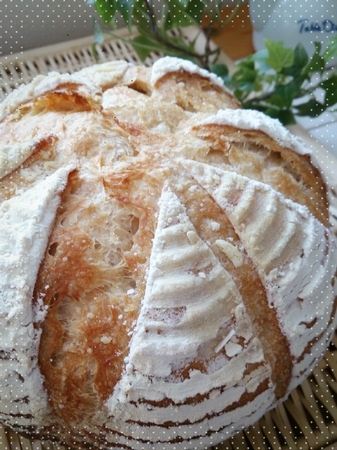 2015-02-19-13-38-15_deco.jpg