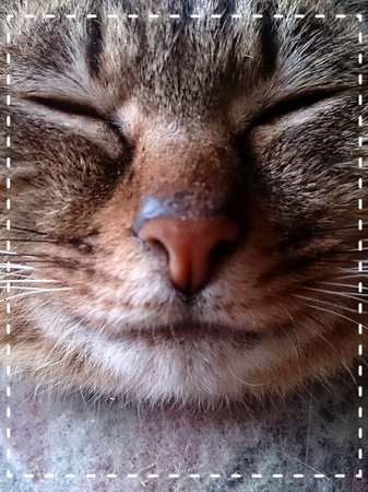 2015-04-08-20-49-50_deco.jpg