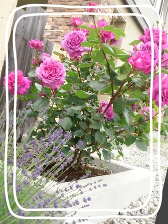 2015-06-30-08-16-01_deco.jpg
