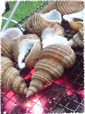 2015-08-03-22-53-16_deco.jpg