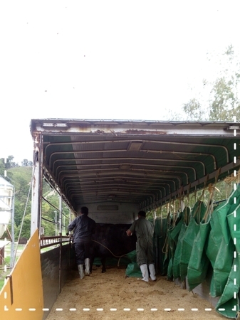 2015-09-06-19-37-02_deco.jpg