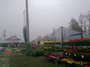 IMG_20130515_185654(1).jpg