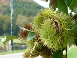 P1030667.JPG