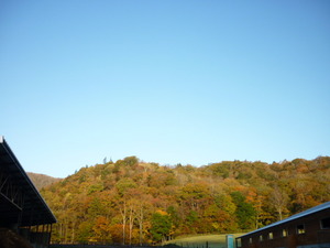 P1030694.JPG