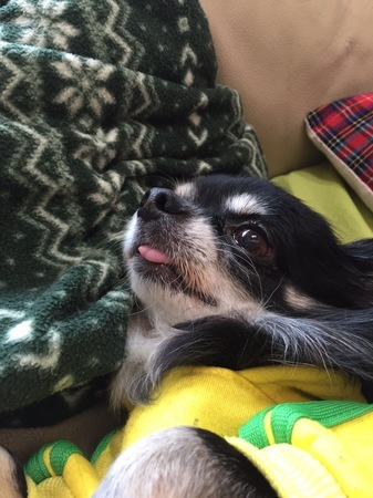 image.jpeg